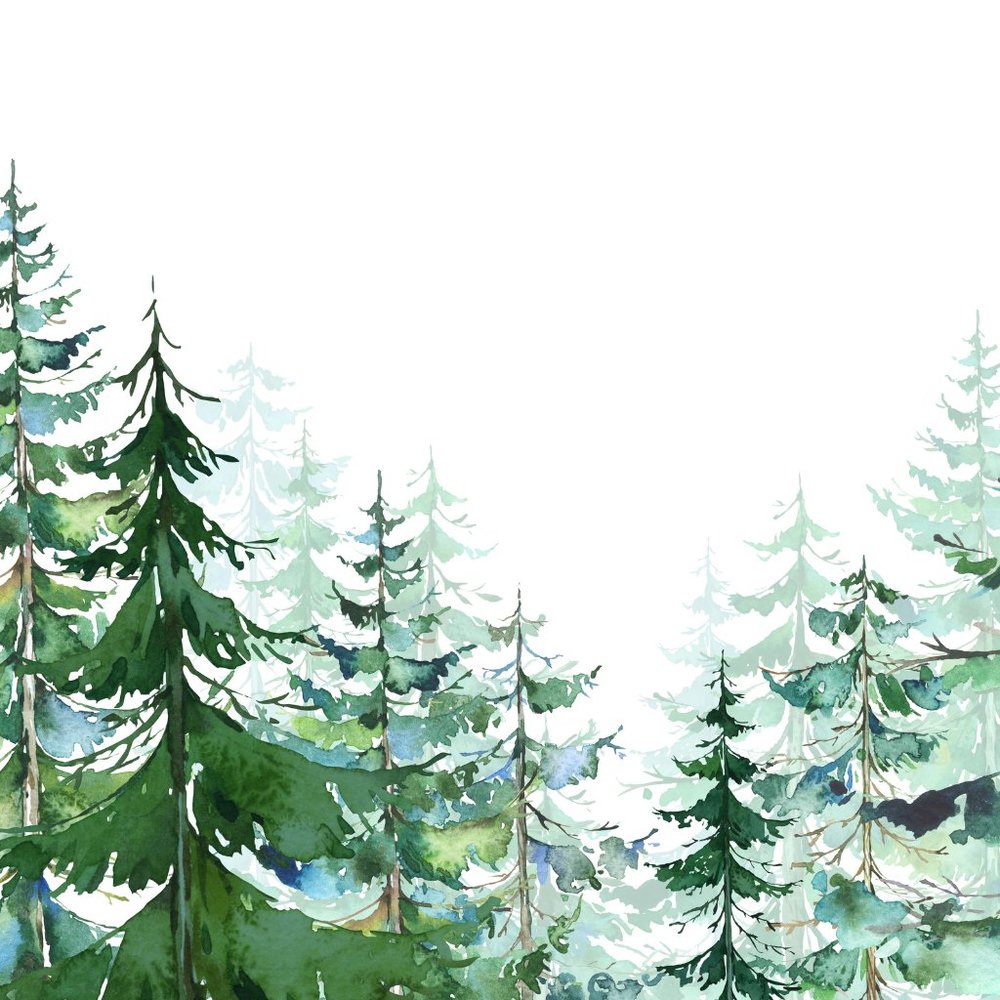 Meet your Posher, Dianne